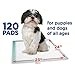 Member's Mark Pet Training Pads, 23