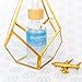 Hyaluronic Acid Serum - Organic and Vegan - 100 Percent Pure of a 1 Percent Solution 2 Ounce