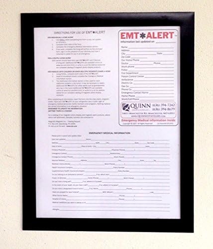Lytle Products Pack of 3 Fridge-Lyt 11x17 Magnetic Document Frame and Sign Holder (black)