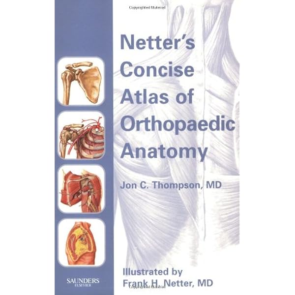 Netter's Orthopaedics (Netter Clinical Science): 9781929007028