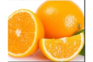 Orange Seeds for Planting - Perennial Evergreen Tree, Sweet Edible Fruits, Fragrant Flowers, Ideal for Home Orchards, Courtya