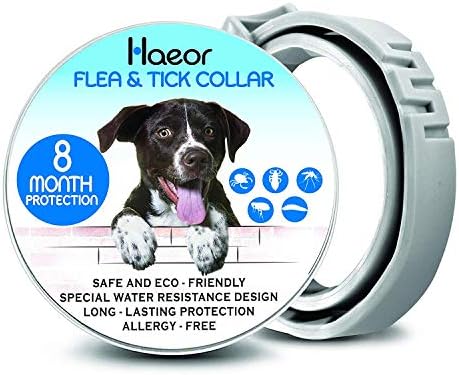 HAEOR Flea Collar and Tick Control for Dogs - Enhanced Natural Ingredients for Flea Treatment and Tick Repellent - Waterproof and 8 Months Continuous Protection Dogs [2019 Upgrade Version]