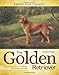 Golden Retriever (Kennel Club Classics) by Jeffrey G. Pepper