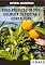 Livro Boas Práticas De Pós Colheita De Frutas E Hortaliças
