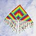 BeMax Twins Rainbow Delta Kites flyer Easy to Assemble Launch and Fly Kite - 1600