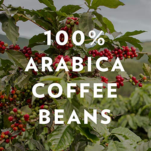 COMMUNITY COFFEE SIGNATURE BLEND WHOLE BEAN COFFEE, DARK ROAST, 12 OZ BAG (PACK OF 1)