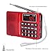 LCJ Portable FM AM Shortwave Multiband Radio Receiver with Micro TF Card and USB Driver MP3 Player USB Charging Cable 1000MAH Rechargeable Li-ion Battery (L-258-Red)