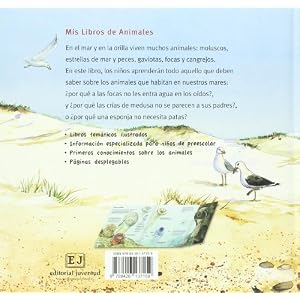 Donde viven las focas / Where the Seals Live: Los Animaels Marinos (Spanish Edition)