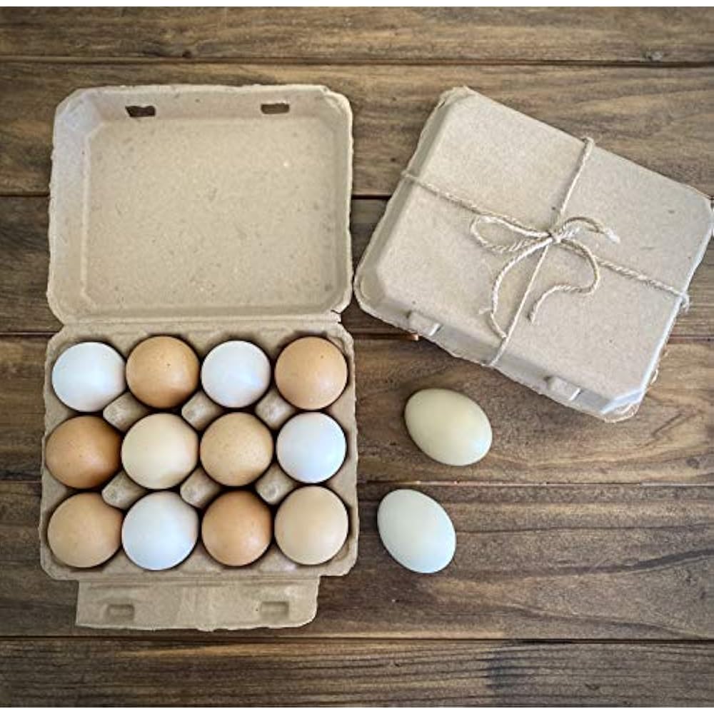 Vintage Blank Egg Cartons Classic 3x4 Holds 12 Large Eggs, Sturdy