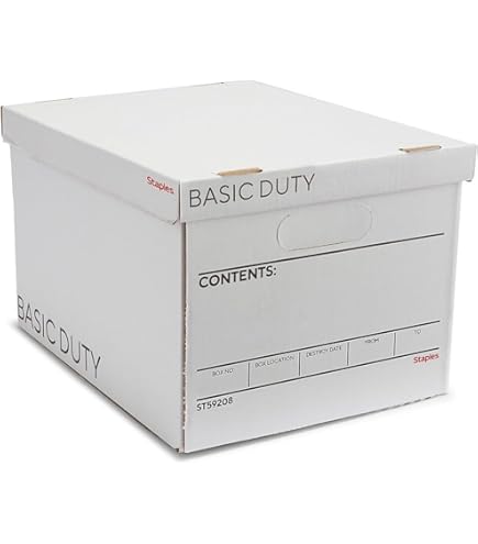 Amazon.com: Leitz Premium archive box with flap, 10 pieces, 100