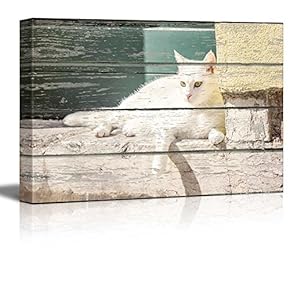 Canvas Wall Art - White Cat on Vintage Wood Textured Background - Rustic Country Style Modern Giclee Print Gallery Wrap Home Art Ready to Hang - 12" x 18"
