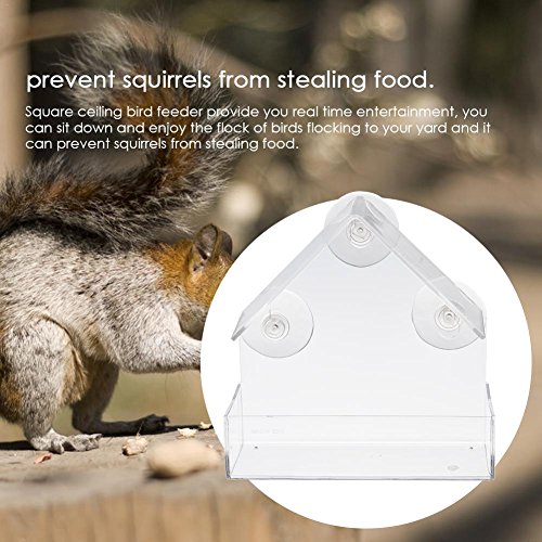 Lembeauty Transparent Acrylic House Shape Pet Bird Feeder Window Bird Feeder With Suction Cups Buy Online In El Salvador Lembeauty Products In El Salvador See Prices Reviews And Free