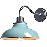 HYDELITE Blue Sconces Wall Lighting Modern Wall Sconce Light for Bedroom Living Room Kitchen Hallway Indoor Gooseneck Nautica