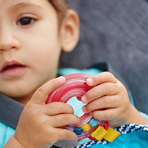 Fisher-Price On-The-Go Activity Throw