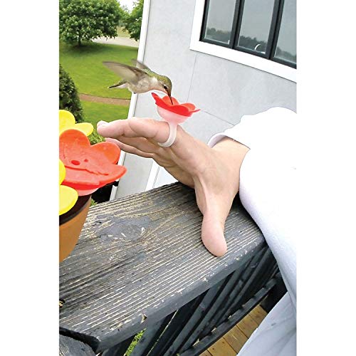 Songbird Essentials Hummer Rings Hummingbird Feeder That You Wear