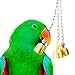 SunGrow Parrot Bell Toy, 8 Inches Lightweight Galvanized Steel Bell for Cockatiels, Conures & Lovebirds, Securely Hangs from Center of Bird Cage, Charming and Entertaining Jingle Bell Sound, 1 Packthumb 1