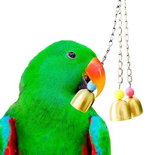 SunGrow Parrot Bell Toy, 8″ Lightweight Galvanized Steel Bell for Cockatiels, Conures & Lovebirds, Securely Hangs from Center of Bird Cage, Charming and Entertaining Jingle Bell Sound, 1 Pack