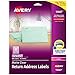Avery Matte Frosted Clear Return Address Labels for Laser Printers, 1/2" x 1-3/4", 800 Labels (15667) primary