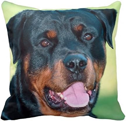 rottweiler pillow