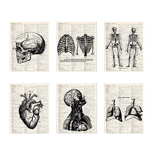 Anatomical Medical Art Vintage Book Art Print Set of 6, Unframed 8x10 Inch Human Skeleton Patent Picture