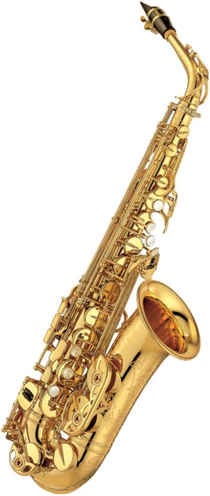 HIUHIU Professional Alto EB Sax Saxophone Gold Laquer Finish Alto Saxophone with 11reeds 8 Pads Cushions case Care kit