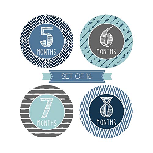 3 Milestone+Stickers+Monthly+Scrapbook+Registry