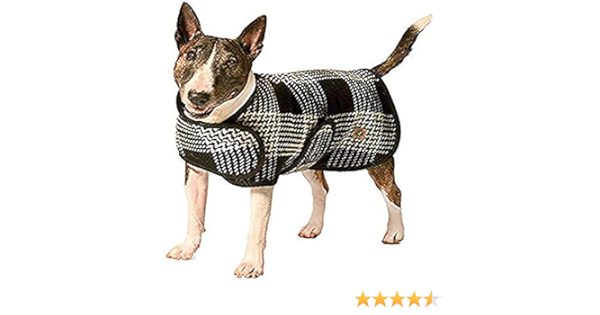 chilly dog blanket coat