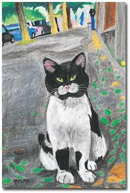 Amazon 猫の足あと ポストカード 街中のねこ ポストカード 絵柄付はがき 文房具 オフィス用品