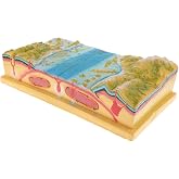 PETSOLA Plate Tectonics Equipment Model Geology Science Teaching Aids
