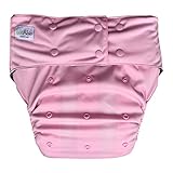 EcoAble Incontinence Cloth Diaper with Insert Pad, Teen & Adult One Size (Pink)