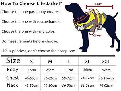 dog helios life jacket