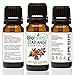 BioFinest Star Anise Oil - 100% Pure Star Anise Essential Oil - Ease Cough, Flu, Asthma, Menstrual Pain- Premium Quality - Therapeutic Grade - Best For Aromatherapy - FREE E-Book (10ml)
