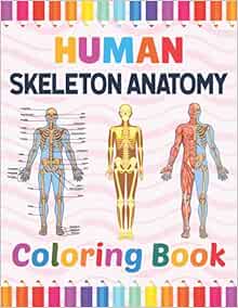 Human Skeleton Anatomy Coloring Book: Skeleton Anatomy Coloring Book