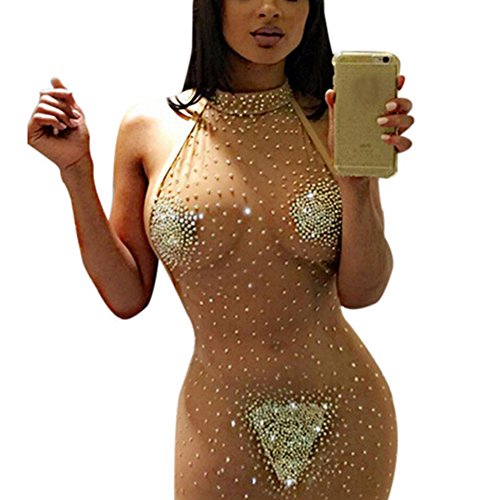 Fan008 Women Sexy Lingerie Hollow Out and See Through Dress for Women Naughty Girl Sexy Mini Dress (S)