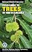 National Wildlife Federation Field Guide to Trees of North America