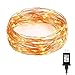 LOENDE Outdoor String Lights, 100 Leds Indoor String Lights 33 ft Copper Wire Starry String Lights for Gifts, Bedroom, Patio, Parties, Weddings, Artwork, Bonsai, Trees (Warm White)