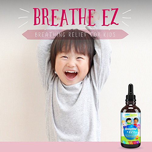 Organic Kids Cough Syrup - Liquid Cough Drops for Congestion, Allergy & Sinus Relief, Elderberry Cough Suppressant & Sinus Cleaner, Sinus Buster for Fast Cough Relief, 1 oz