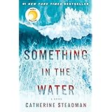 Something in the Water: A Novel