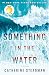 Something in the Water: A Novel