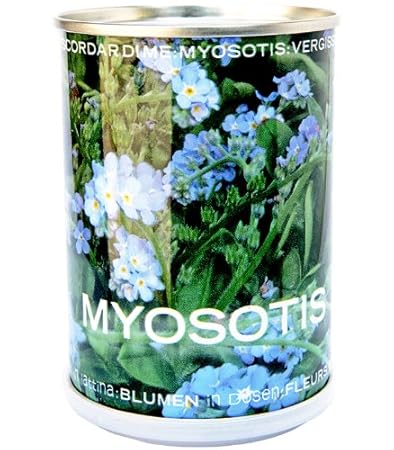 Microgiardini Myosotis Non Ti Scordar Di Me Fiori In Lattina Made In Italy