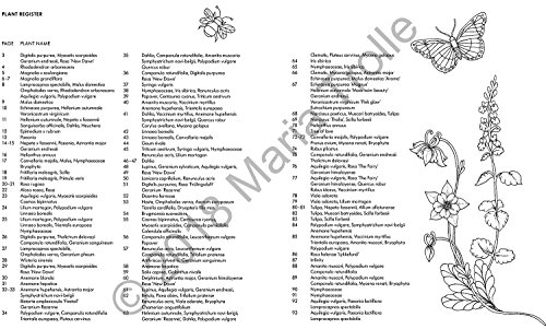 Nightfall Coloring Book: Originally Published in Sweden as "Skymningstimman" (Maria Trolle)