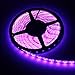 FAVOLCANO Waterproof Purple LED Strip 3528 SMD 300LED 5M Flexible Lamp Light DC 12V 60LED/M IP65 + 2.1 x 5.5mm DC Power Female Plug Jack Adapter Connector Plug