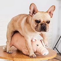 Amazon.com: XYQ Dog Sleeping Estrus Toy Estrus Male Sex Vent Plush ...