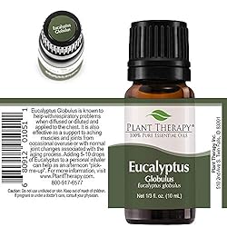 Plant Therapy Eucalyptus Globulus Essential Oil 10