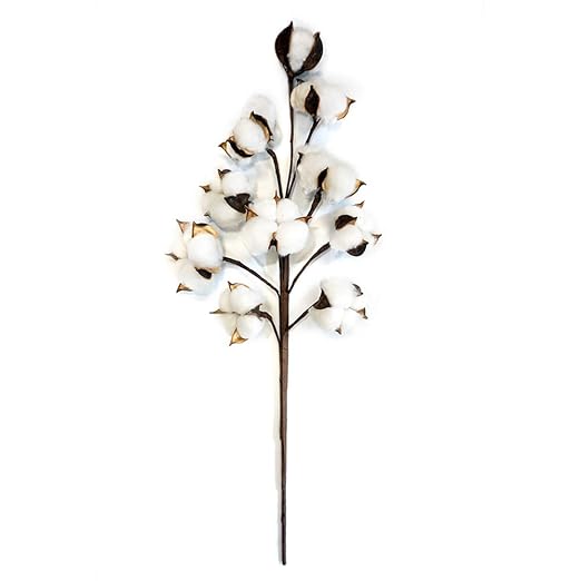 HUAESIN 20Pcs Flores Artificiales Secas de Algodon Flores Secas 