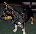 BINGPET BB5004 Polka Dot Soft Vest Dog Puppy Pet Harness Adjustable - Black