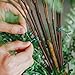 VIMOA Garden Twine 164 Feet Garden Twist Ties with Cutter for Plants, Vines and Wrapping Cords Christmas Tree Tie