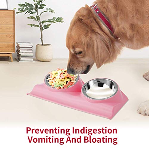 Elphabas Rasied Tilted Cat Bowls AntiGulping Slow Feeder Slanted Dog