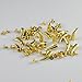 RUBYCA 20 Sets 21mm Gold Color Cat Claw Studs and Spikes Metal Screw Back Leather-Craft Findings