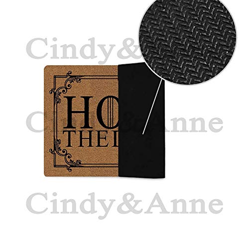 Tdou Hold The Door Game of Thrones Doormat Entrance Floor Mat Funny Doormat Door Mat Decorative Indoor Outdoor Doormat 23.6 by 15.7 Inch